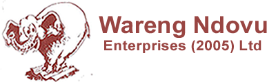 logo image